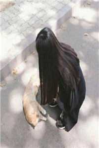 重生后，妹妹抢着要嫁最穷男人高口碑