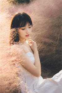 重生官场：我抛弃渣女，一心上进篇章