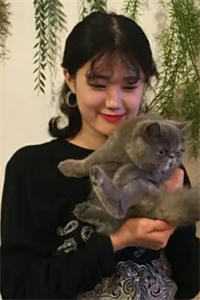 穿成早死的炮灰，我要努力的活着宋司遥宋听婉结局+番外
