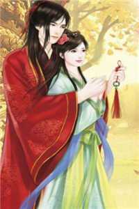 清穿贵妃权谋在手兆和佟仙蕊番外+无删减版