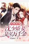 霸总别追了，夫人只想拿钱独美林星语盛霆烨:全本+番外+后续