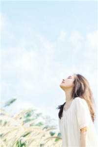 前妻要复婚？我让她跪着滚赵青峰白晓星全章+后续