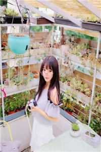 攻略校花失败后，我要死了全文+番茄