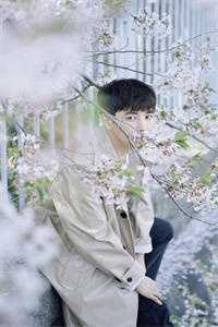 永生花谢时,你与我别离:结局+番外+完结