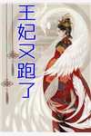 莫用爱囚我:前文+后续