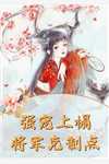 为给私生子换肾，老婆制造车祸沈辛阿晨(番外)+(结局)
