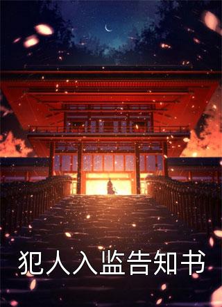 我放下不甘离开后，他后悔了苏青陆沉全章+后续