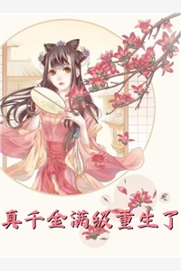 轻舟已逝长夜空赵明屿沈清舟全文+后续+结局