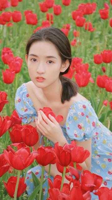 我自清欢，无风无月宋黎齐允礼全局