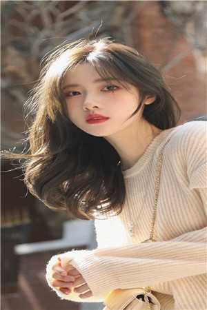 凤仪之资无删减+无广告