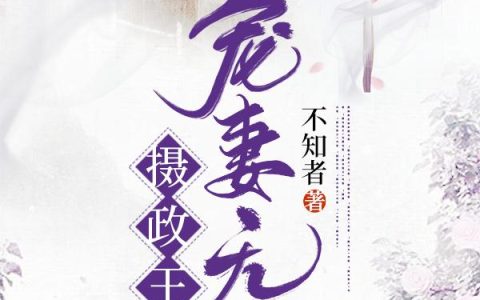 摄政王宠妻无边