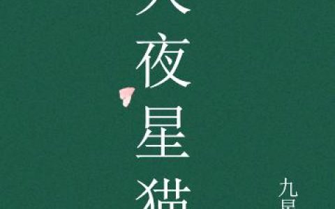 天夜星猫