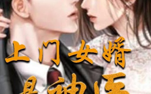 上门女婿是神医