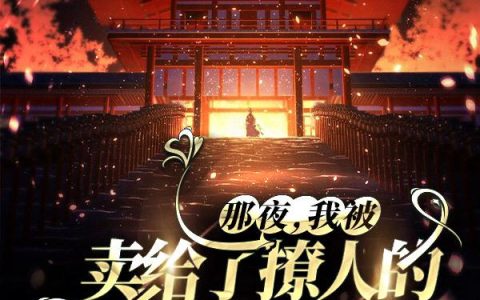 那夜，我被卖给了撩人的妖君大人