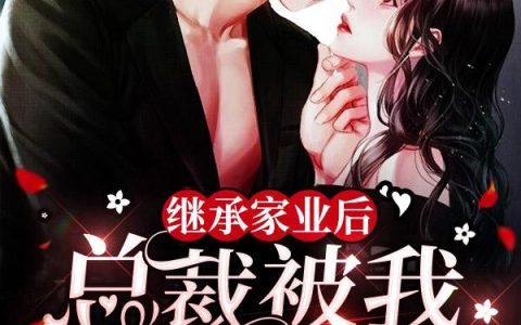 继承家业后,总裁被我始乱终弃