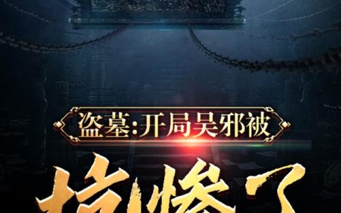 盗墓:开局吴邪被坑惨了