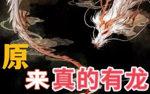 原来真的有龙
