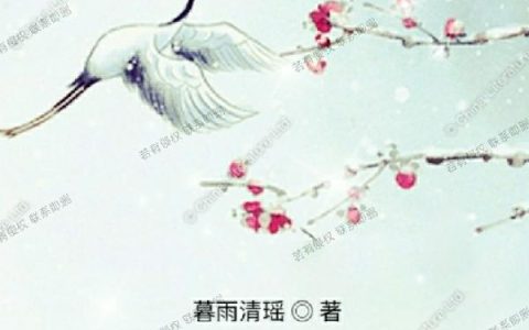完结版罗峰罗天蓝秀儿