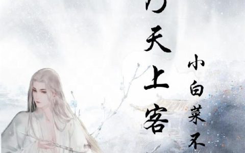 夫人才是真大佬，总裁甘愿做她裙下臣
