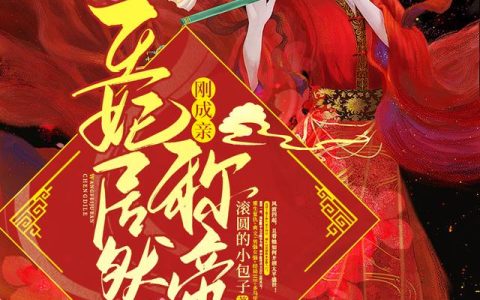刚成亲，王妃居然称帝了！
