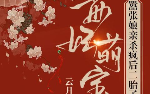 毒妃萌宝:嚣张娘亲杀疯后二胎了