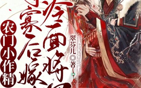 农门小作精:守寡后嫁给冷面将军
