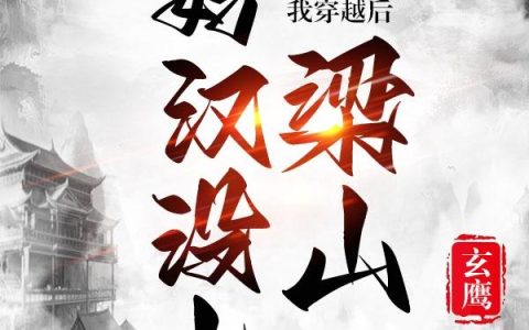 我穿越后,好汉没上梁山