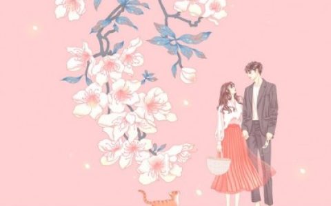 《恰似明星入我怀》梁以沫大结局免费阅读