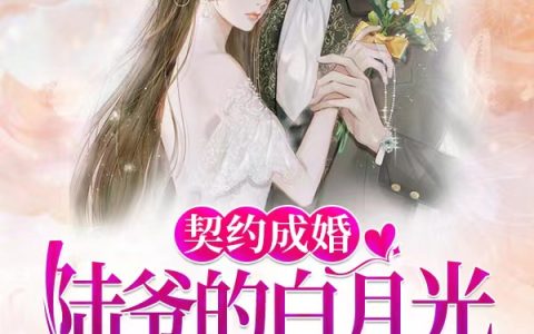 契约成婚：陆爷的白月光超难哄