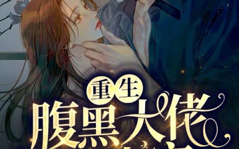 重生：腹黑大佬心尖宠