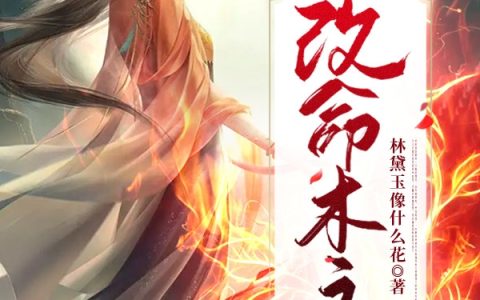 改命木之域