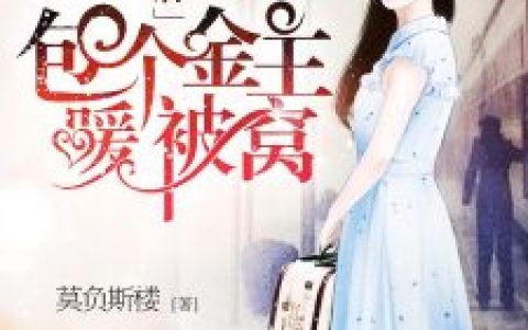 星光天后：包个金主暖被窝