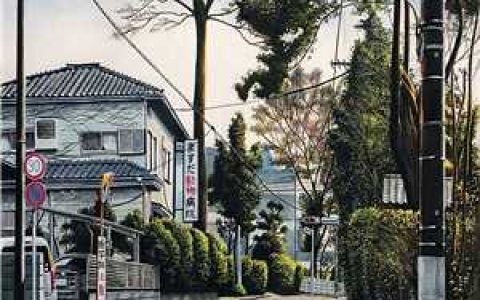青云直上青云直上