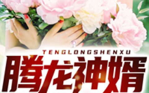 不见君心似我心
