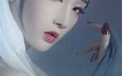 我在明朝打倭寇