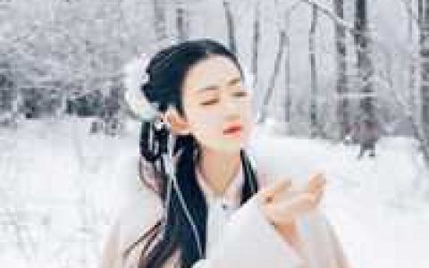 夫人又带崽逃婚了