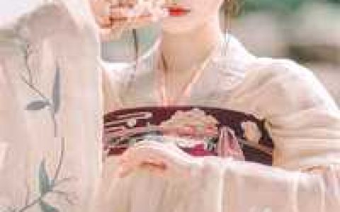 容少追妻火葬场