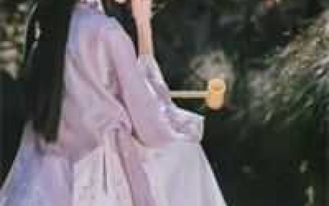 小龙幸福人生韩若妍免费阅读已完结