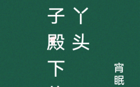 太子殿下的笨丫头