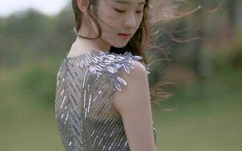 离婚后我成了前夫白月光免费阅读