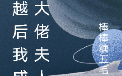 穿越后我成了大佬夫人