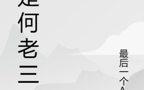 我是何老三