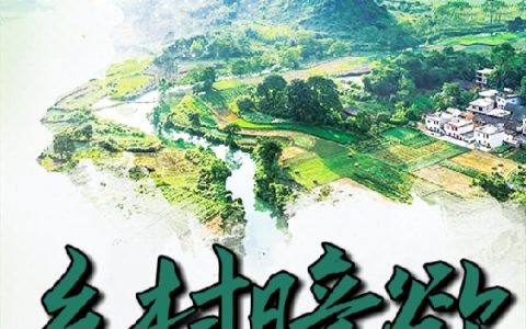 乡村暗欲