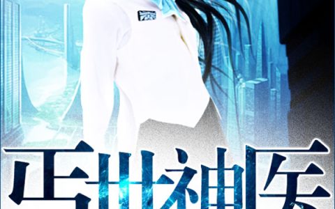 丐世神医
