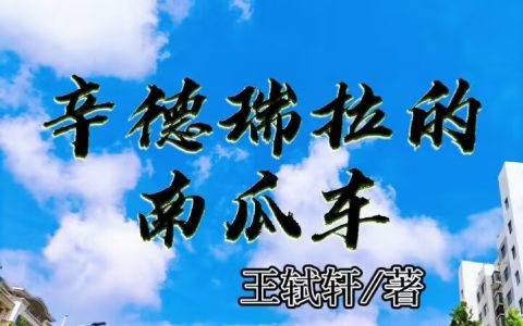 辛德瑞拉的南瓜车