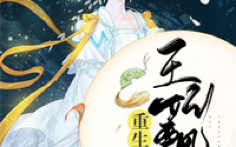 重生后王妃飘了