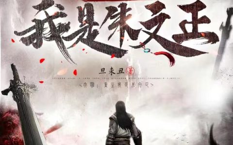大明：重生我是朱文正