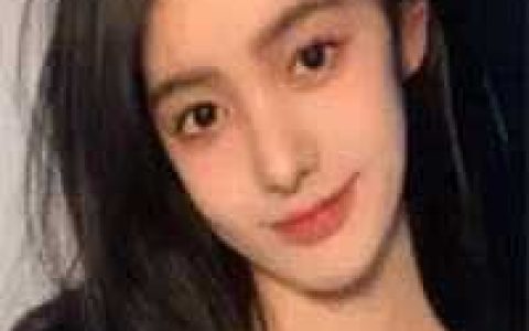 统帅锦衣卫