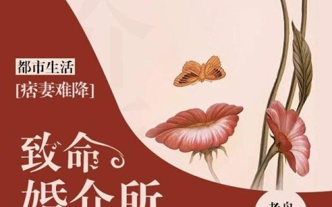 痞妻难降：致命婚介所