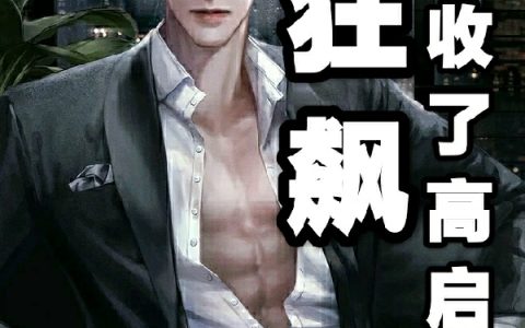 狂飙：开局收了高启强